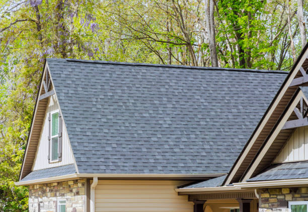 Best Roof Ventilation Installation  in Cuthbert, GA